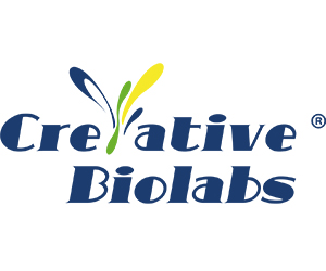 Creative Biolabs’ Dual-Action Antibody Webinar Ignites Biotech Buzz