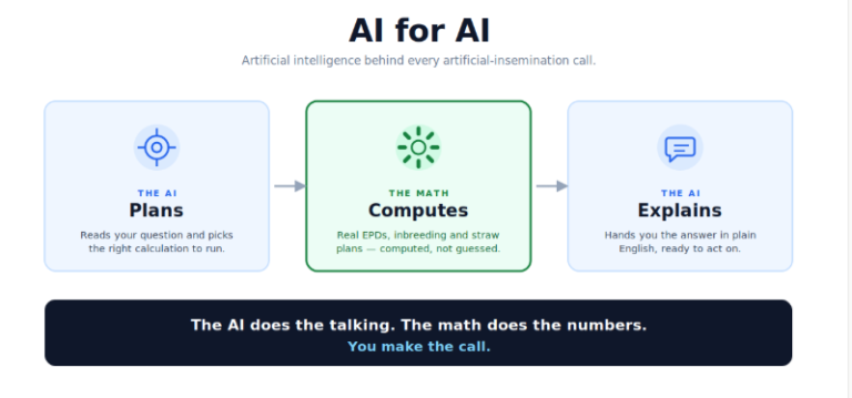 Featured image for Auto-prepared featured image